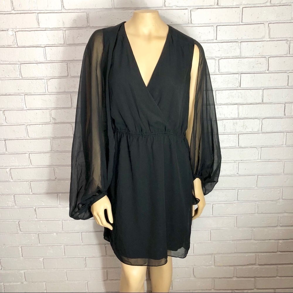 Erin By Erin Fetherstron Bwrap Sheer Sleeve Dress